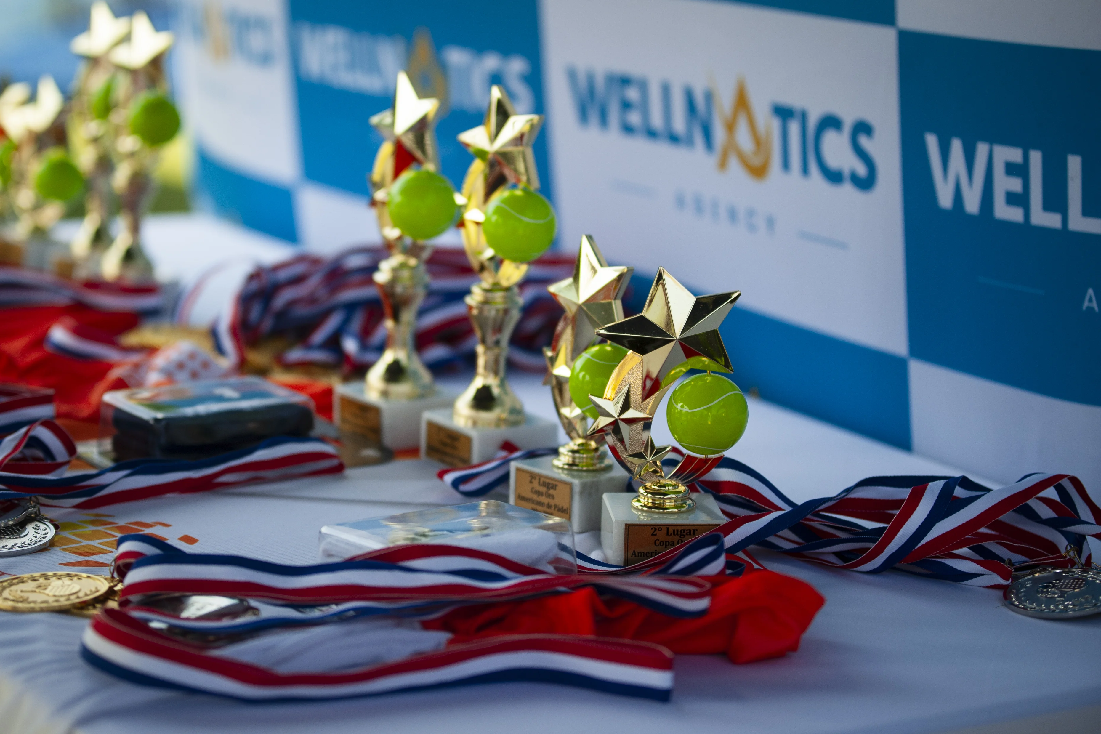 Equipo Wellnatics